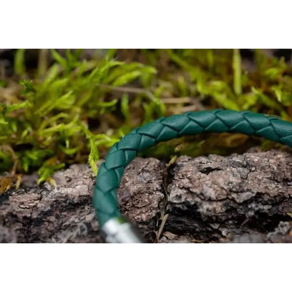 Ampli5 Energiearmband (Tannengrün) - Original Ampli5