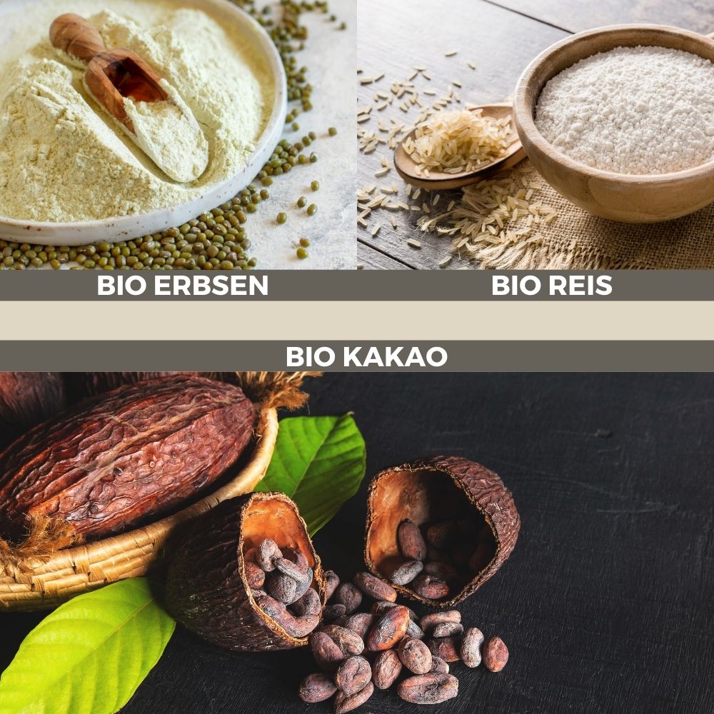 ROC Sports Vegan Bio-Protein Pulver ROC Sports